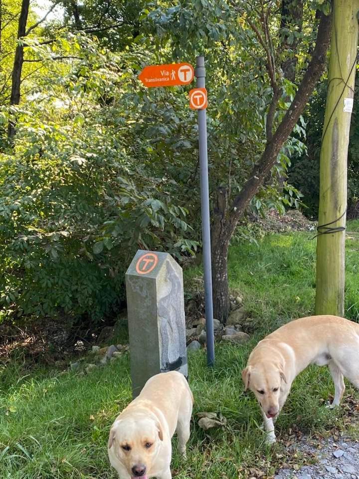 Hanul Conitei Sovata Zewnętrze zdjęcie